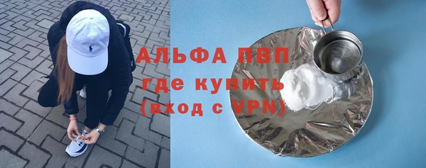шишки Лабытнанги