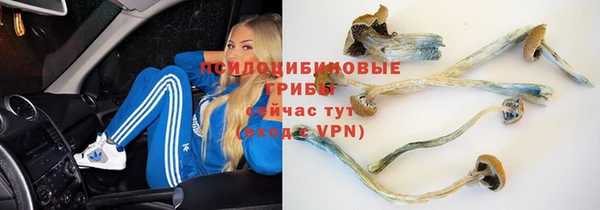 марихуана Куйбышев
