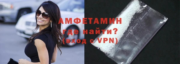шишки Лабытнанги