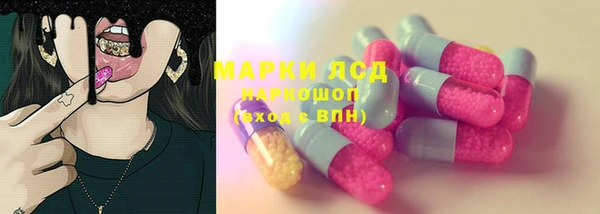 шишки Лабытнанги