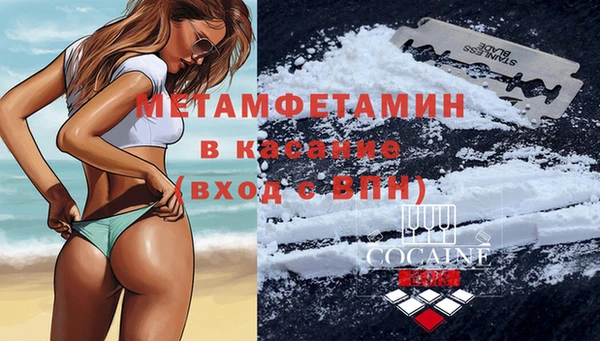 шишки Лабытнанги